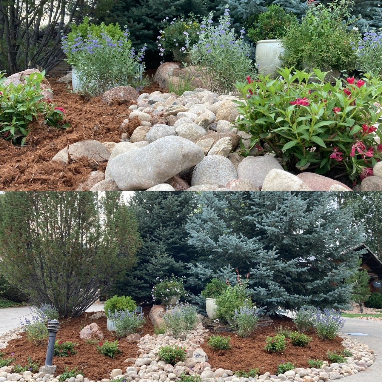Landscaped garden with rocks, shrubs, and mulch, shown in a before-and-after comparison.