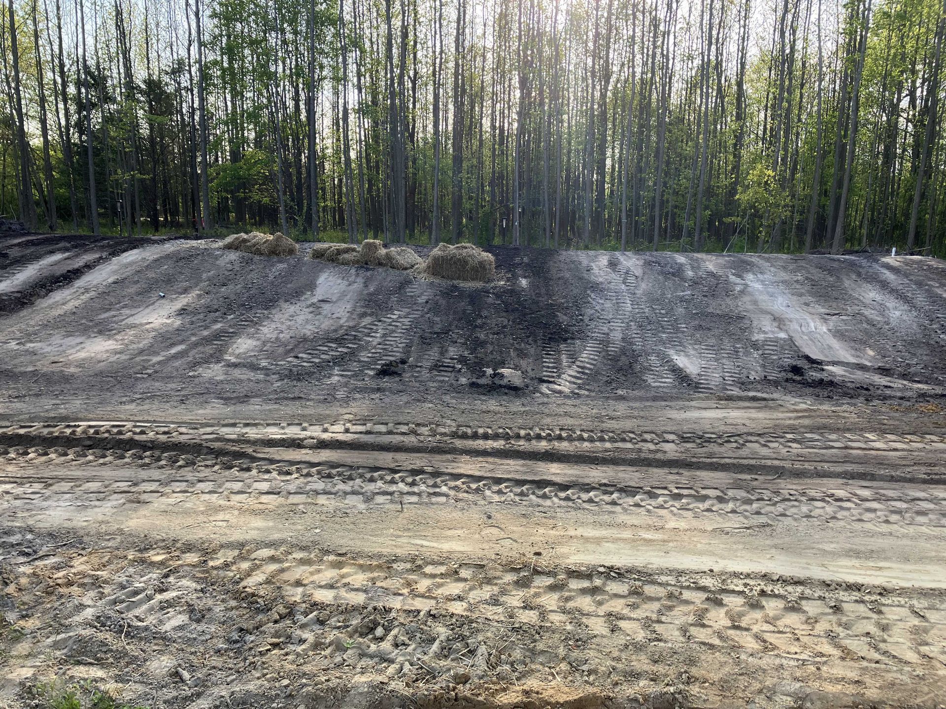A dirt mound in front of a forest, with tire tracks in the foreground.