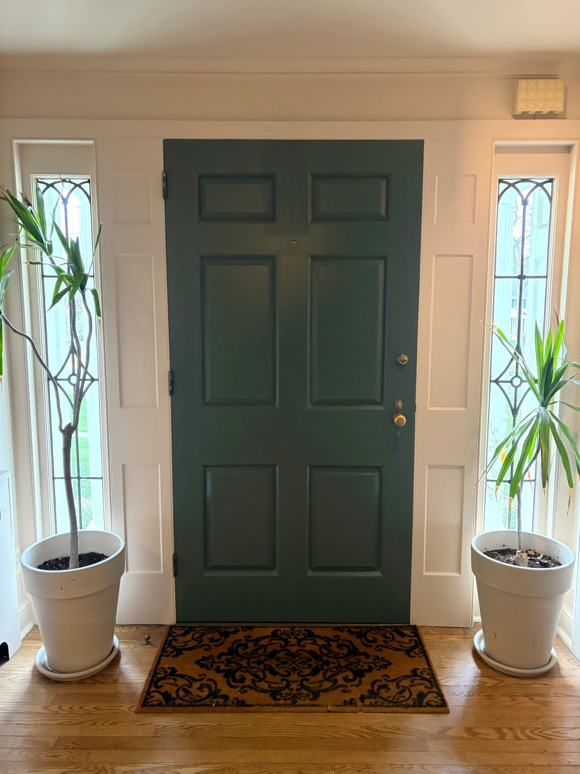 Front entryway with dark green door, two tall plants in white pots, and a patterned doormat.