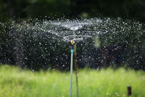 Sprinkler spraying water over a green field with a dark blurred background