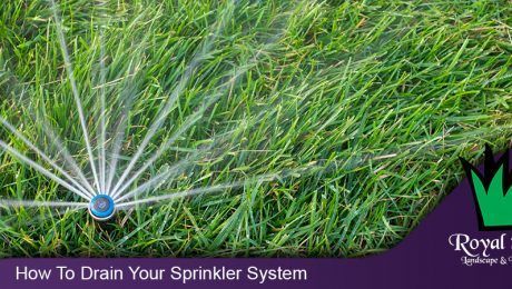 Sprinkler spraying water across green grass with text: “How To Drain Your Sprinkler System”