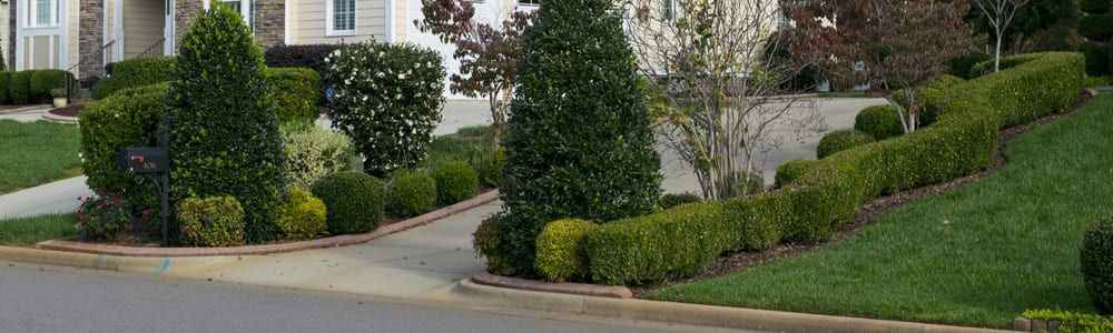 Landscaped front yard with neatly trimmed shrubs, a driveway, and a white house in the background
