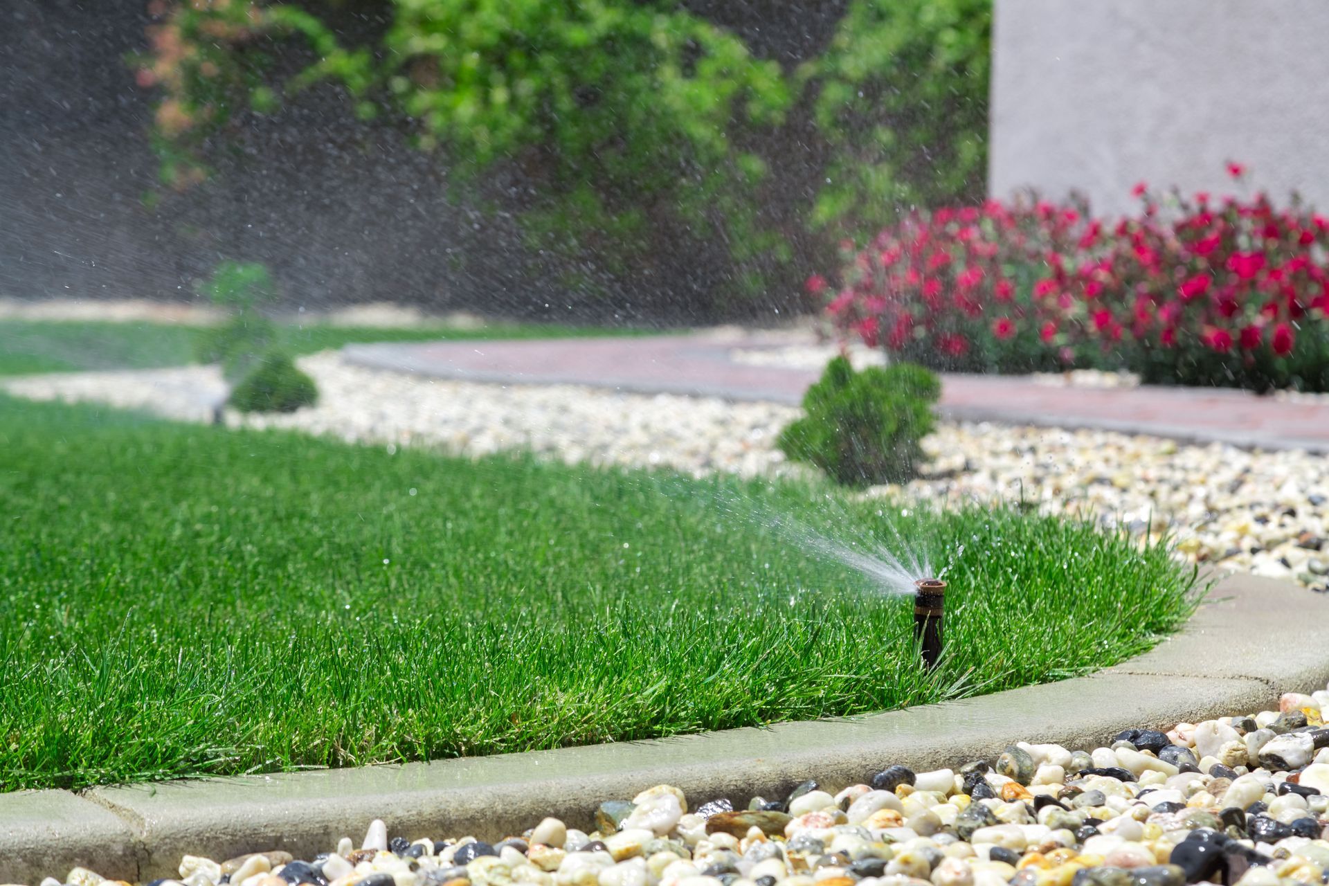 Lawn sprinkler watering a green garden bed near flowers and a stone border