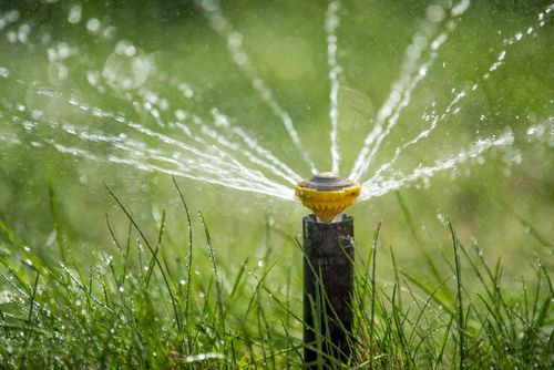 Lawn sprinkler spraying water over green grass on a sunny day