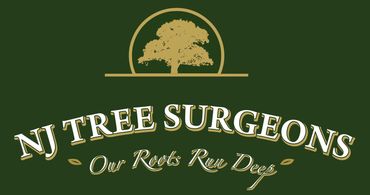 NJ Tree Surgeons | Log