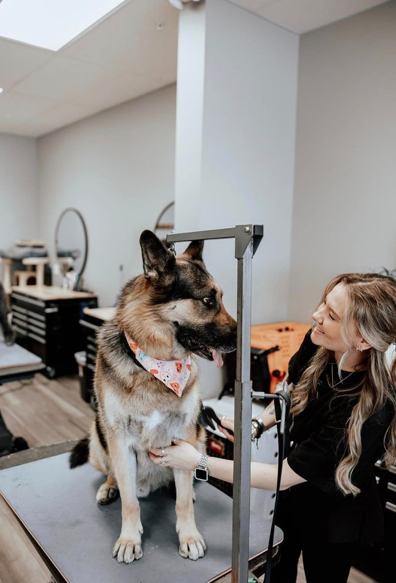 Dog sits on grooming table, paw raised. Woman smiles, holding grooming tools in a salon setting.