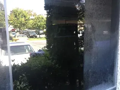 View of street with cars and trees, seen through a window with reflections.