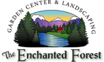 The Enchanted Forest | Logo