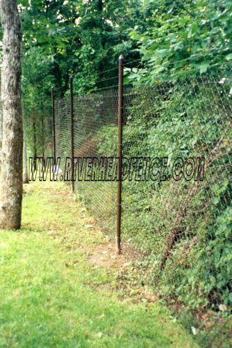 Chain-link fence