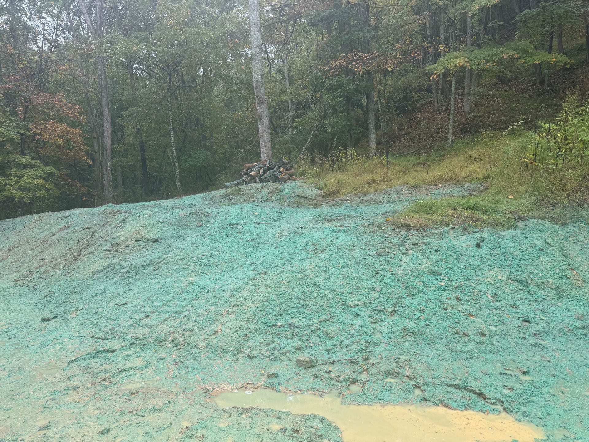 Green-colored erosion control material covers a hillside. Bare trees stand against a background of foliage.