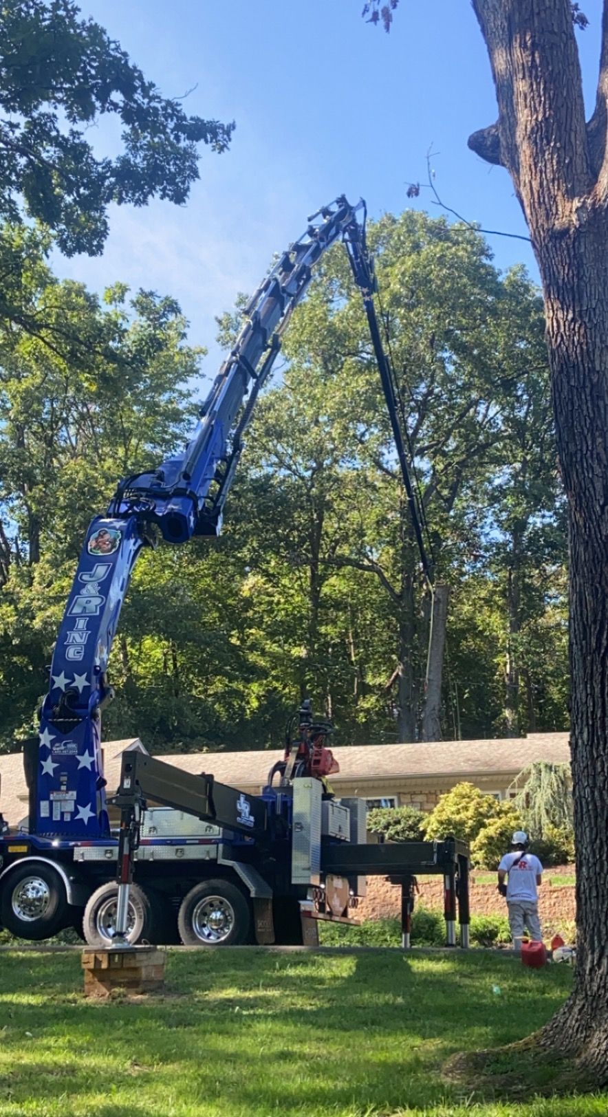 A blue tree-trimming truck with a long arm is cutting branches from a tree in a yard. A person is near the truck.
