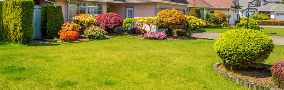 Lush green lawn with colorful bushes and flowers in front of a house.