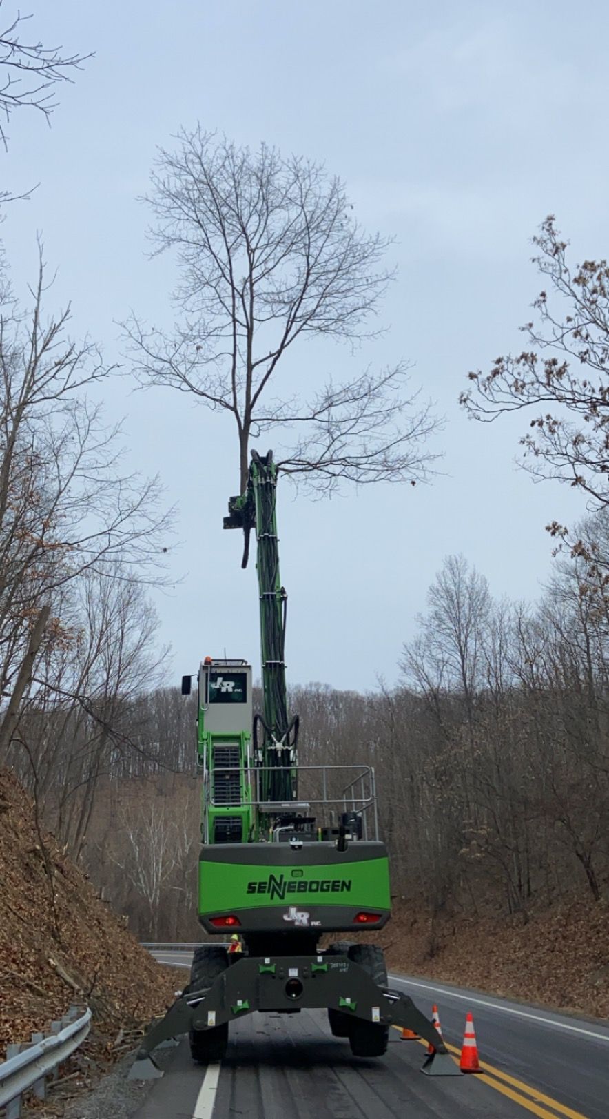 Green tree trimming machine cutting a tall, bare tree on a road, with a cloudy sky backdrop.