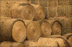 Haystack for feed