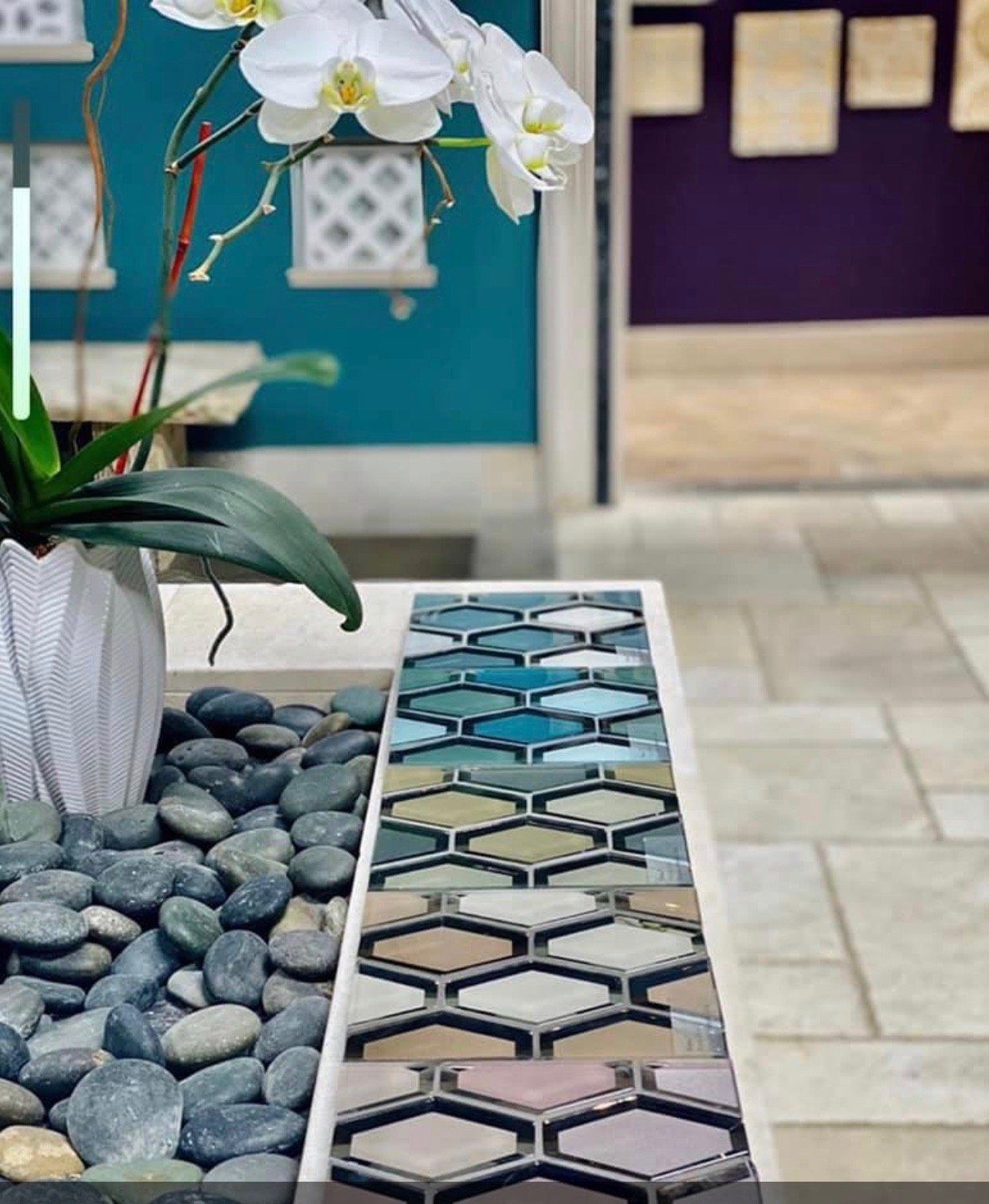 White orchid in a textured planter with decorative stones, displaying colorful hexagon tiles; turquoise wall backdrop.