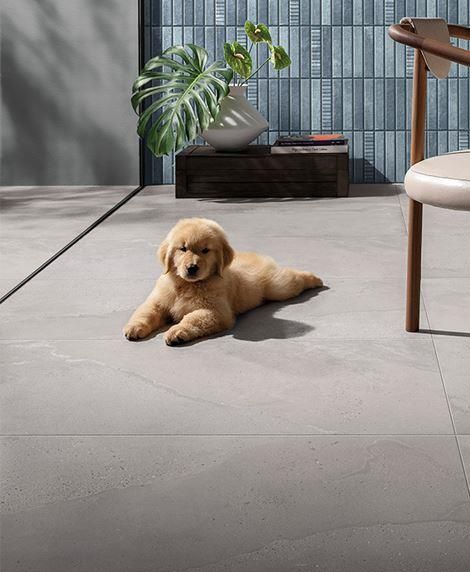 picture of 24x48 Tune Ivory porcelain tile from  Elysium Tile