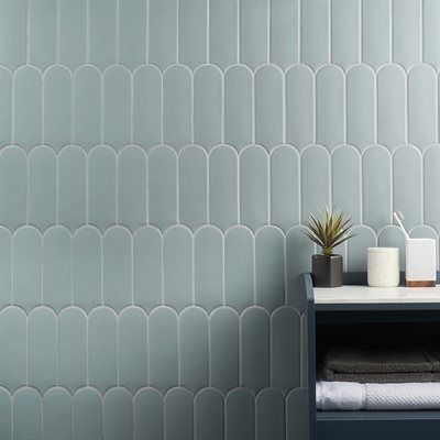 Blue arched tile wall in a bathroom, with a small shelf holding a plant and toiletries.