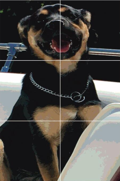 Happy dog on a boat, black and tan fur, open mouth, chain collar, white boat interior, sunny day.