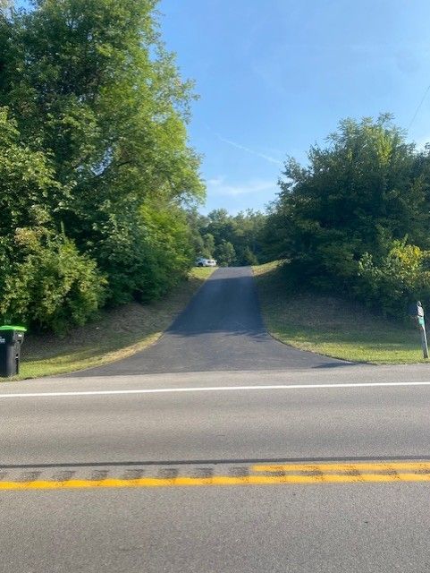 A road with trees on both sides of it