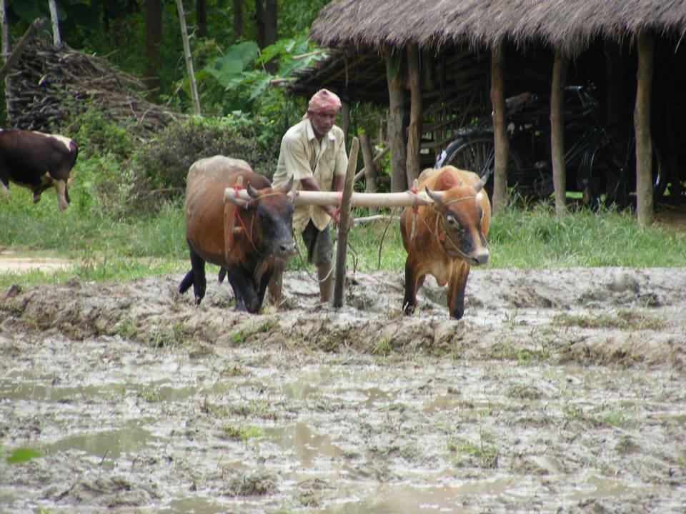 Victory Christian Fellowship