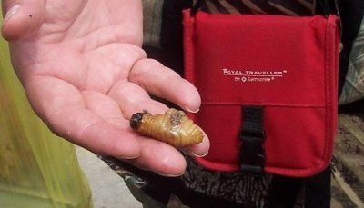 Victory Christian Fellowship