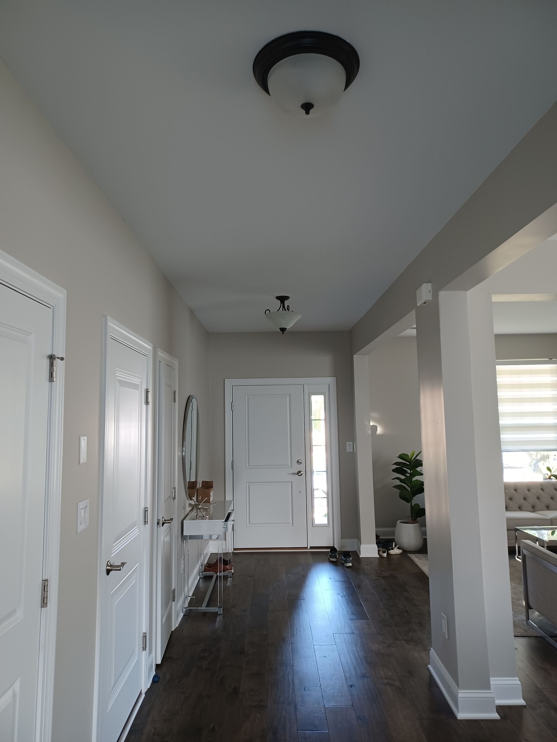 Bright hallway with dark wood floors, white doors, ceiling lights, and a front door at the end.