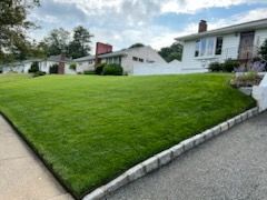 clean residential lawn