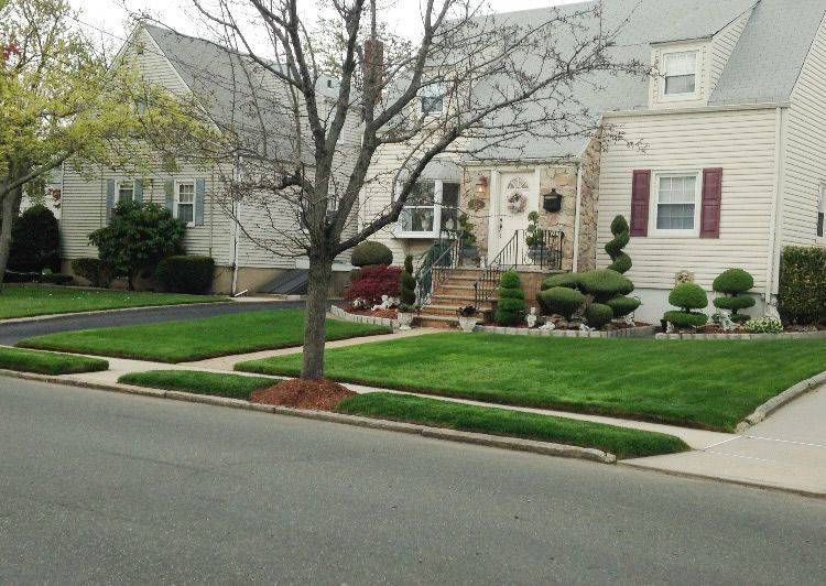 Landscaped front yard