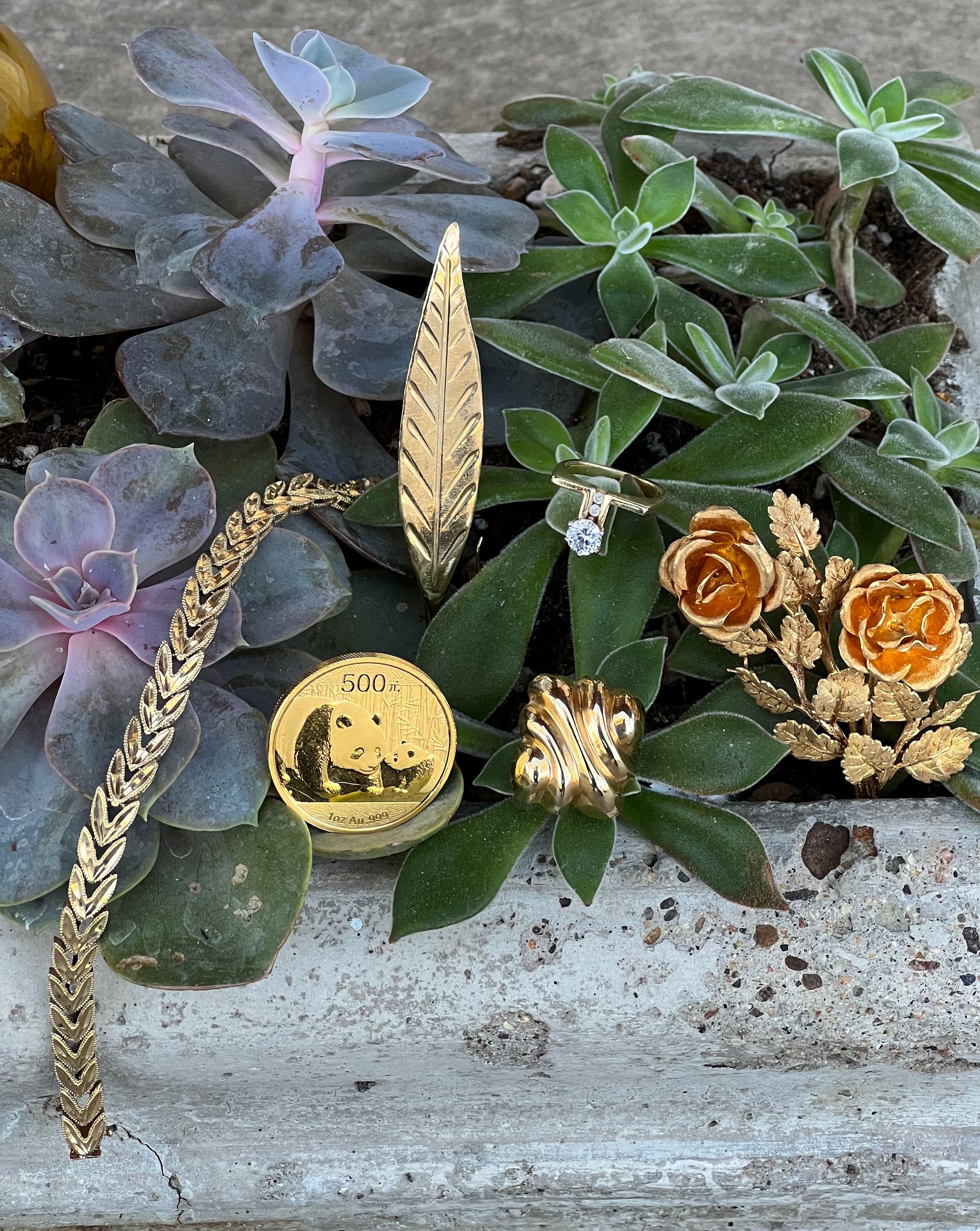 A planter filled with succulents and a gold coin