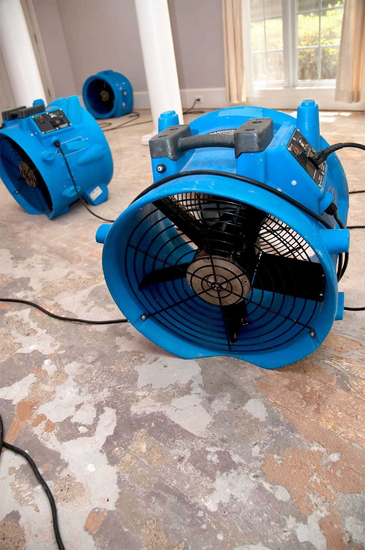 Blue industrial fans drying a water-damaged room with peeling paint on floor; one near window.