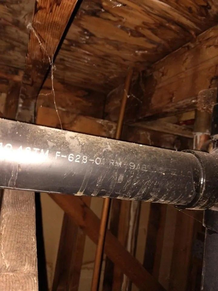 Black pipe against a wood-paneled ceiling with apparent mold growth.