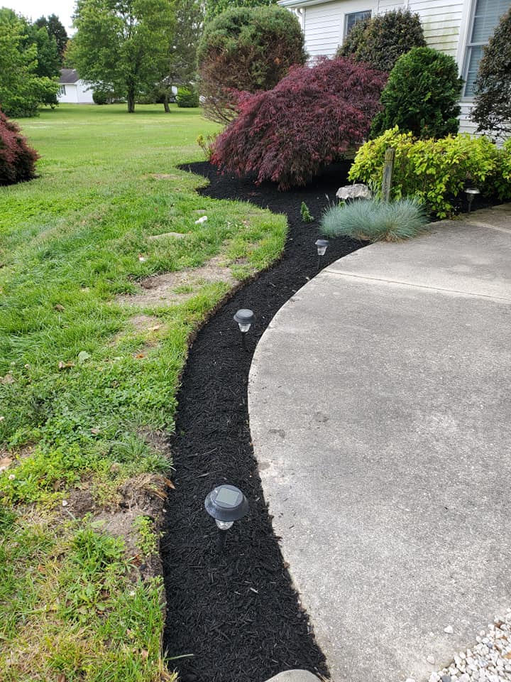 A concrete walkway leading to a house with black mulch and lights.