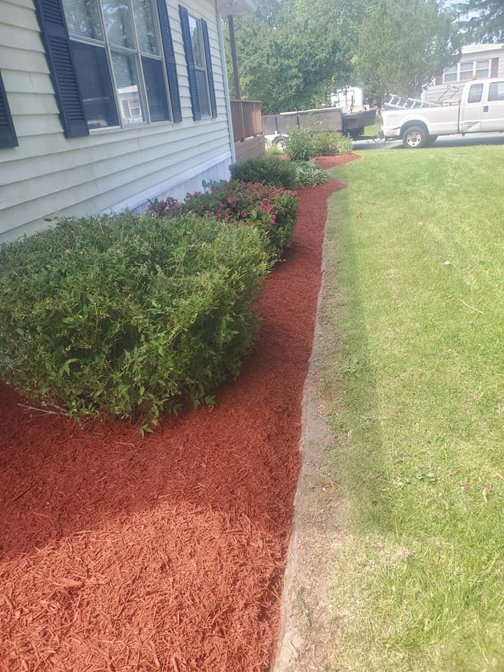 A house with a lot of mulch in front of it.