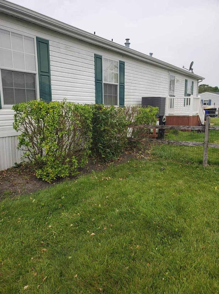 A white mobile home with green shutters and bushes in front of it.