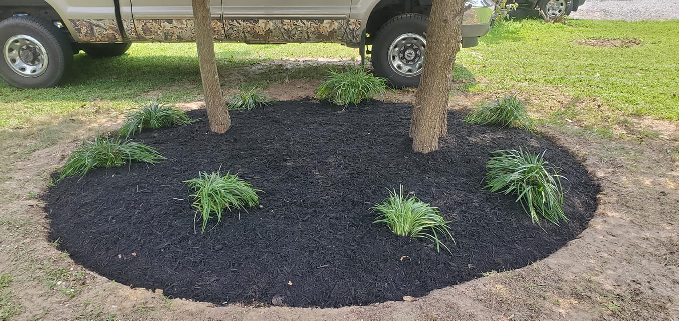 A truck is parked next to a tree in a circle of mulch.