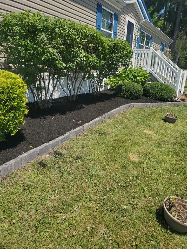 A house with a lush green lawn and bushes in front of it.