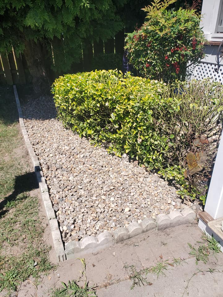 A gravel walkway leading to a house with a bush in the background.