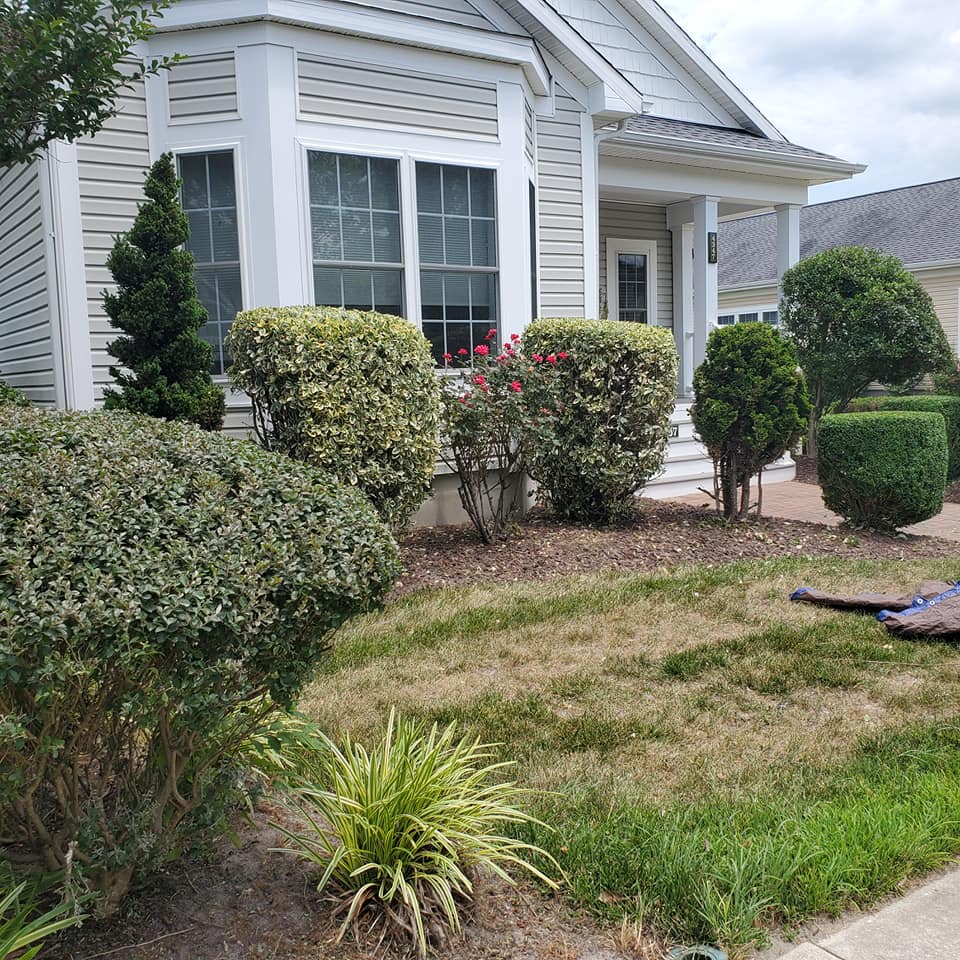 A house with a lot of bushes in front of it