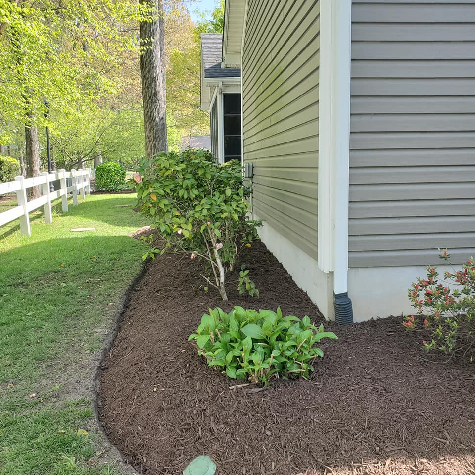 A house with a fence and a bush in front of it