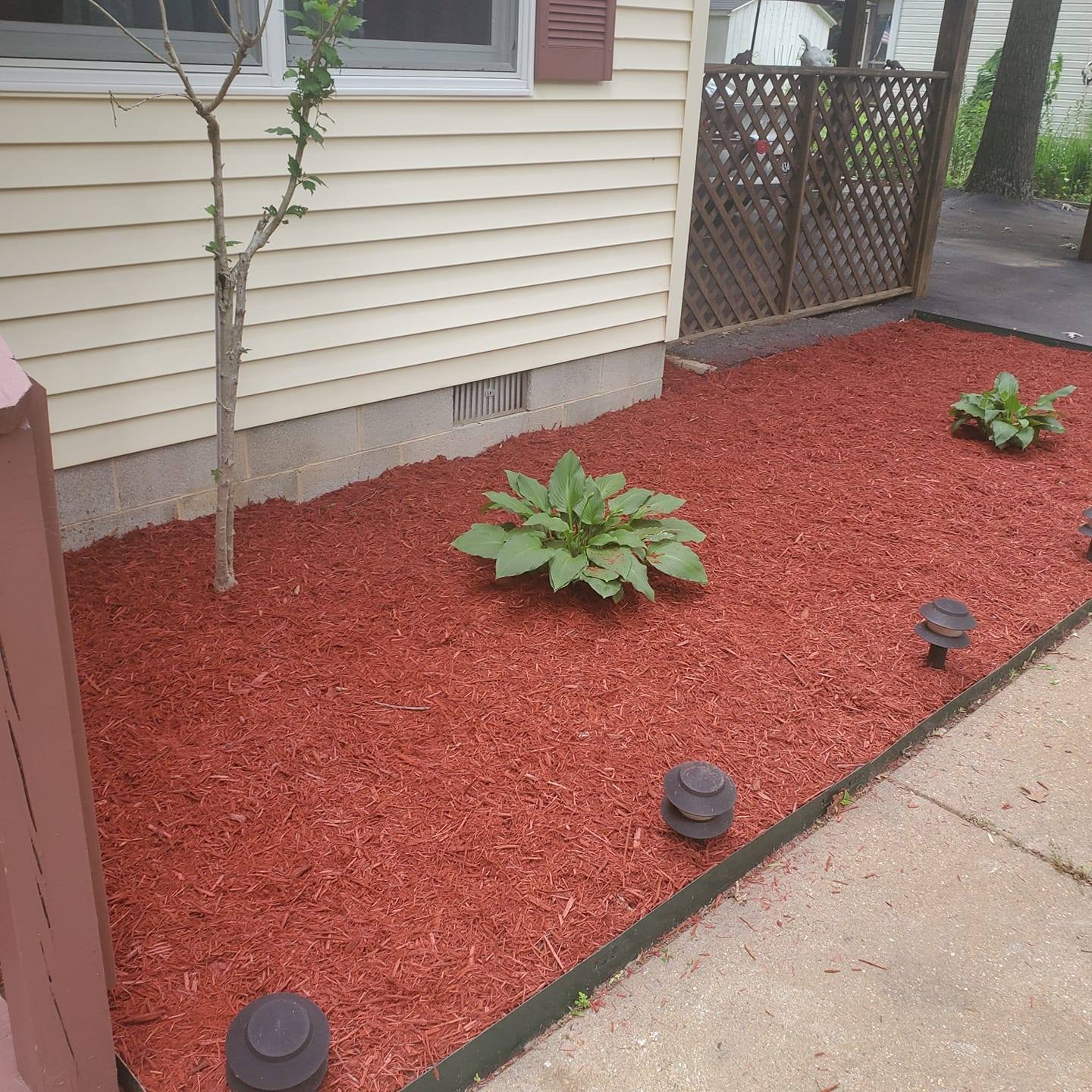 A yard with red mulch and plants in front of a house