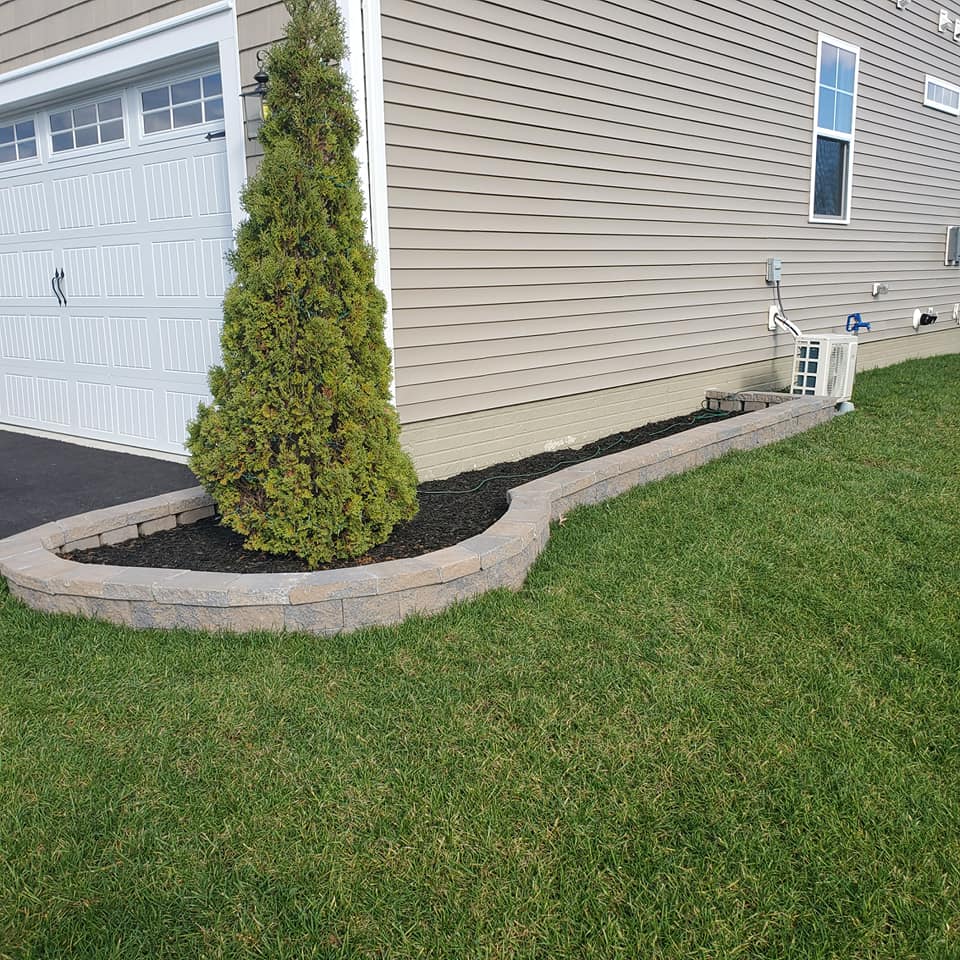 A house with a lush green lawn and a tree in front of it.