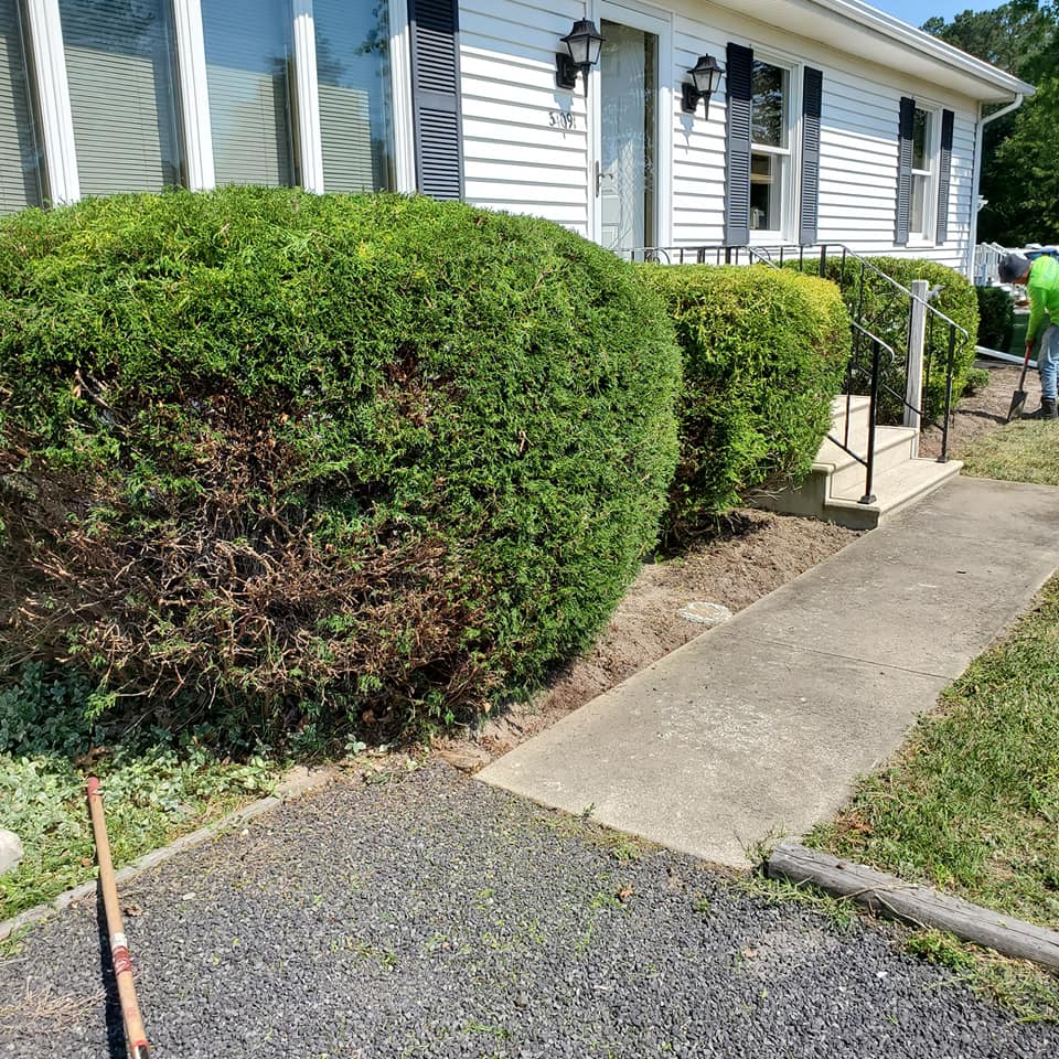 A man in a green shirt is standing in front of a white house.