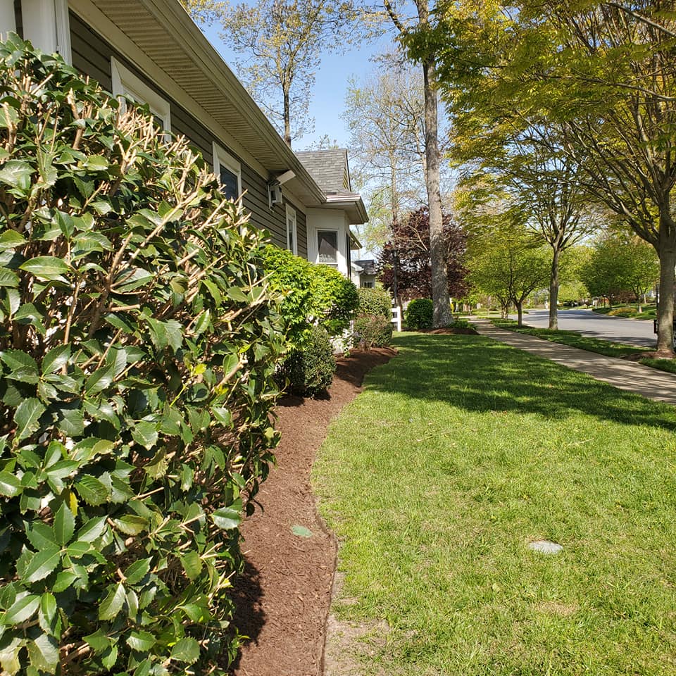 A house with a lush green lawn and bushes in front of it