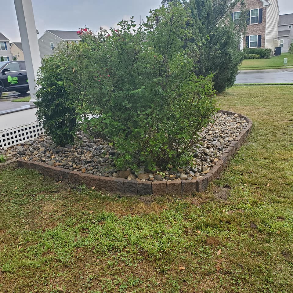 A lush green lawn with a bush and rocks in the middle of it.