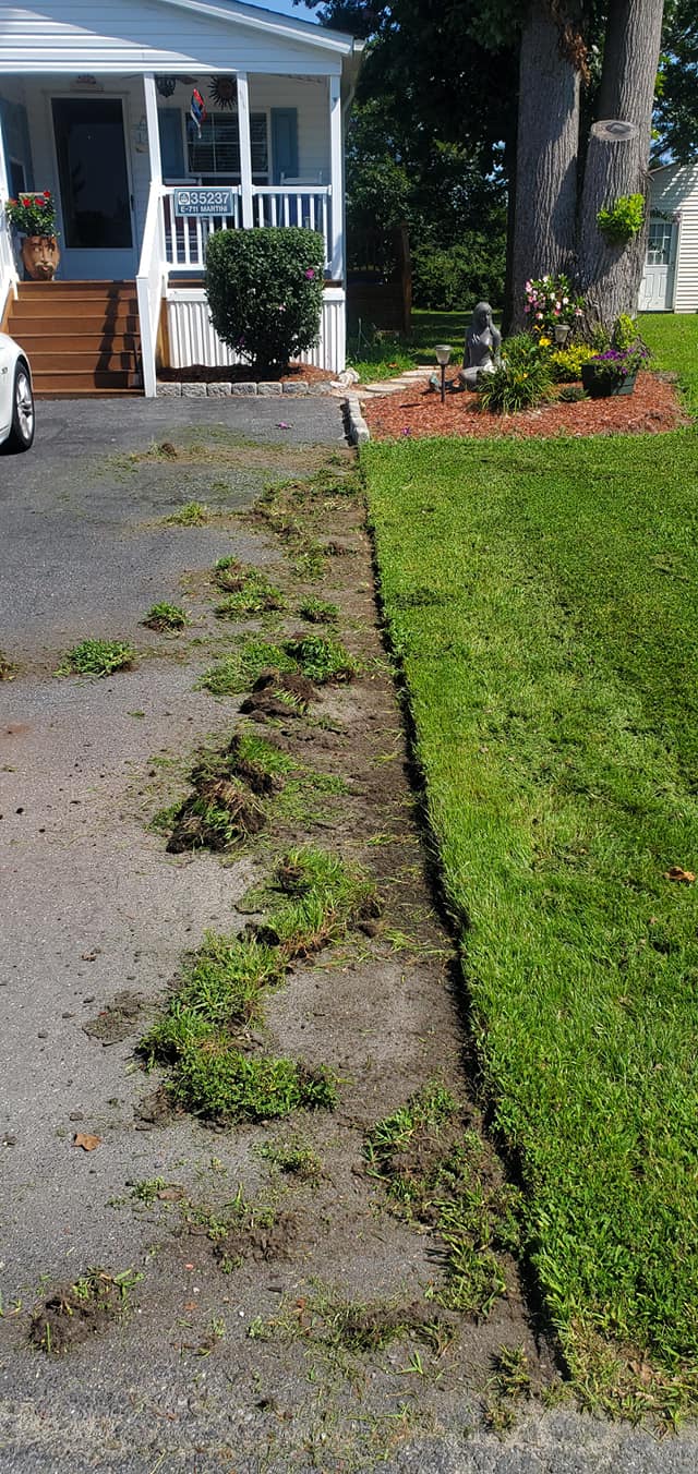 There is a lot of grass on the side of the road in front of a house.
