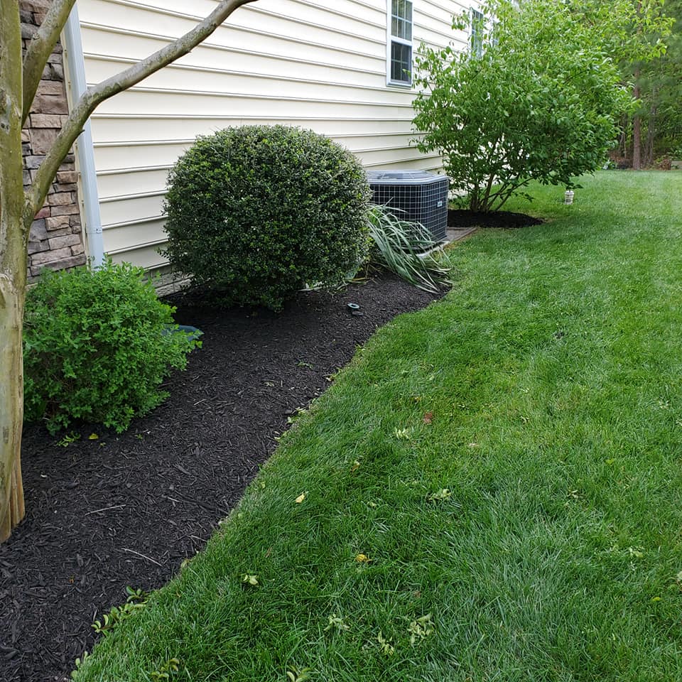 A lush green yard with a house in the background