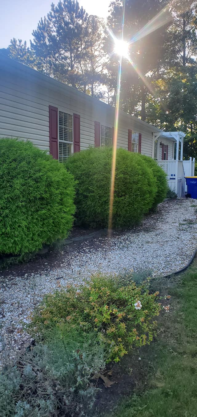 A house with a lot of bushes in front of it.