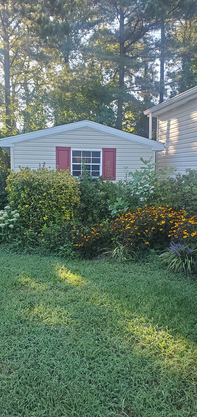 A white mobile home with red shutters is sitting in the middle of a lush green yard.