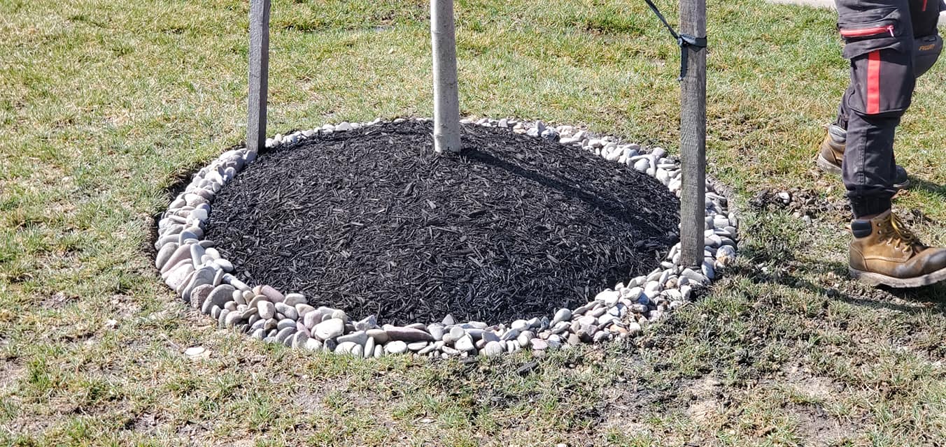 A person is standing in the grass next to a tree.