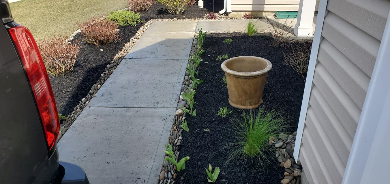 A potted plant is sitting on the sidewalk next to a house.
